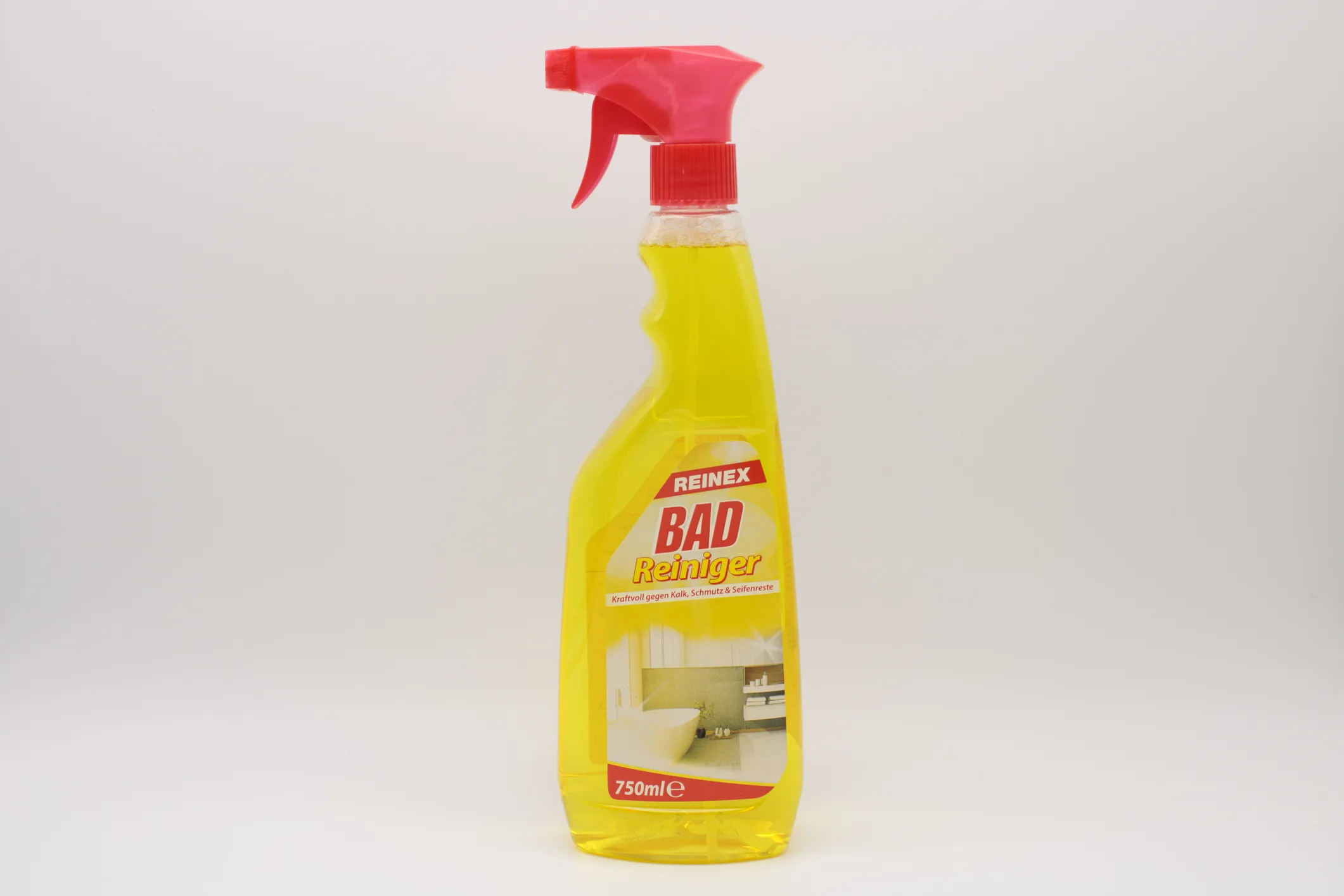 Bad Reiniger mit Sprühpistole 750 ml
