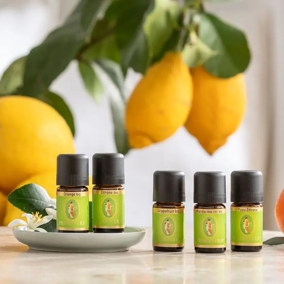 Ätherisches Öl 5ml